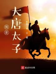 我是大唐太子?