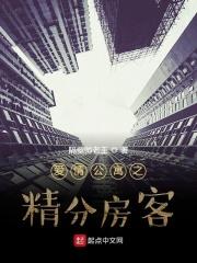 爱情公寓之精分房客