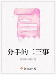 分手的二三事