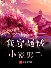 我穿越成小说男二