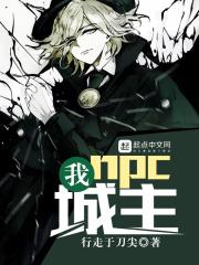 我,npc,城主