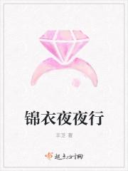 锦衣夜夜行