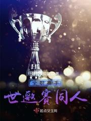 全职高手世邀赛同人