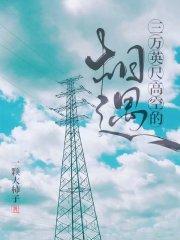 三万英尺高空的相遇