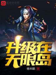 升级在无限岛