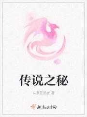 传说之秘