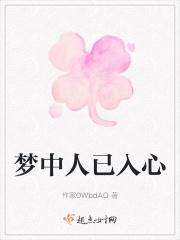 梦中人已入心