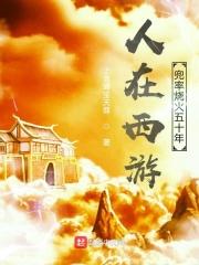人在西游，兜率烧火五十年
