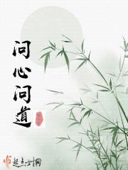 问心问道