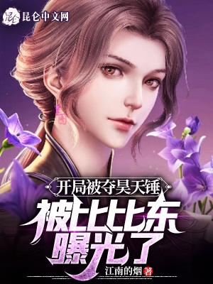 开局被夺昊天锤,被比比东曝光了