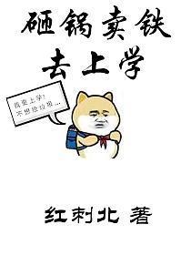 砸锅卖铁去上学