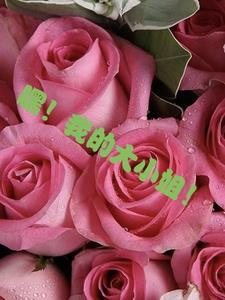 嘿!我的大小姐!