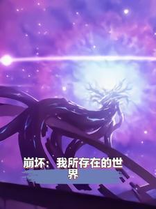 崩坏:我所存在的世界